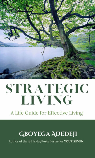 Strategic Living: A Life Guide for Effective Living (Hardcover Book)