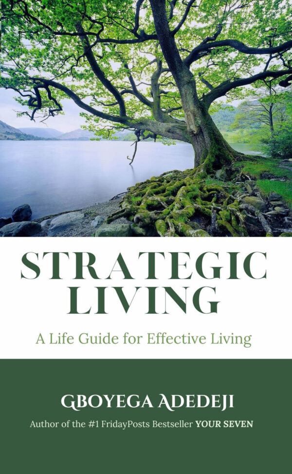 Strategic Living: A Life Guide for Effective Living (Hardcover Book)